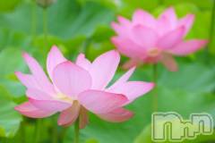 上越デリヘル上越風俗出張アロママッサージ(ジョウエツフウゾクシュッチョウアロママッサージ) ゆずき☆(37)の9月29日写メブログ「ありがとうございました♡」