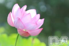 上越デリヘル上越風俗出張アロママッサージ(ジョウエツフウゾクシュッチョウアロママッサージ) ゆずき☆(37)の9月29日写メブログ「ありがとうございました♡」