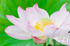 上越デリヘル上越風俗出張アロママッサージ(ジョウエツフウゾクシュッチョウアロママッサージ) ゆずき☆(37)の9月30日写メブログ「ありがとうございました♡」