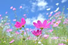 上越デリヘル上越風俗出張アロママッサージ(ジョウエツフウゾクシュッチョウアロママッサージ) ゆずき☆(37)の10月13日写メブログ「平和♡」