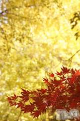 上越デリヘル上越風俗出張アロママッサージ(ジョウエツフウゾクシュッチョウアロママッサージ) ゆずき☆(37)の10月15日写メブログ「ありがとうございました♡」