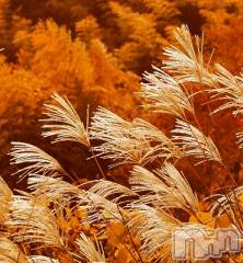 上越デリヘル上越風俗出張アロママッサージ(ジョウエツフウゾクシュッチョウアロママッサージ) ゆずき☆(37)の10月15日写メブログ「ありがとうございました♡」