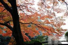 上越デリヘル上越風俗出張アロママッサージ(ジョウエツフウゾクシュッチョウアロママッサージ) ゆずき☆(37)の10月16日写メブログ「ありがとうございました♡」