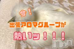 上越風俗エステ上越風俗出張アロママッサージ(ジョウエツフウゾクシュッチョウアロママッサージ) ゆずき☆(37)の1月23日写メブログ「本日も♡」
