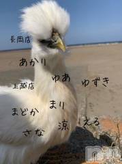 上越風俗エステ上越風俗出張アロママッサージ(ジョウエツフウゾクシュッチョウアロママッサージ) ゆずき☆(37)の4月2日写メブログ「本日出勤の女の子です！」
