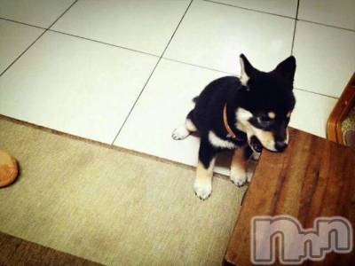 上越デリヘル 上越風俗出張アロママッサージ(ジョウエツフウゾクシュッチョウアロママッサージ) ゆずき☆(37)の6月8日写メブログ「ありがとうございました」