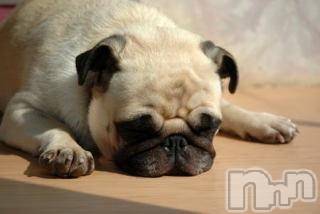 上越デリヘル 上越風俗出張アロママッサージ(ジョウエツフウゾクシュッチョウアロママッサージ) ゆずき☆(37)の7月27日写メブログ「ありがとうございました」