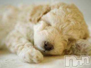 上越デリヘル 上越風俗出張アロママッサージ(ジョウエツフウゾクシュッチョウアロママッサージ) ゆずき☆(37)の8月27日写メブログ「ありがとうございました」