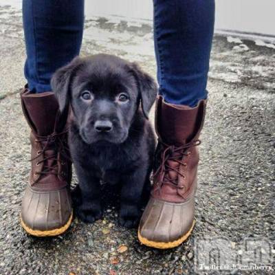 上越デリヘル 上越風俗出張アロママッサージ(ジョウエツフウゾクシュッチョウアロママッサージ) ゆずき☆(37)の9月30日写メブログ「ありがとうございました」