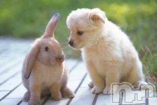 上越デリヘル 上越風俗出張アロママッサージ(ジョウエツフウゾクシュッチョウアロママッサージ) ゆずき☆(37)の10月12日写メブログ「ありがとうございました」