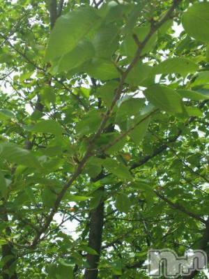 上越デリヘル 上越風俗出張アロママッサージ(ジョウエツフウゾクシュッチョウアロママッサージ) ゆずき☆(37)の10月13日写メブログ「ありがとうございました」