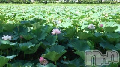 上越デリヘル 上越風俗出張アロママッサージ(ジョウエツフウゾクシュッチョウアロママッサージ) ゆずき☆(37)の10月24日写メブログ「ありがとうございました」