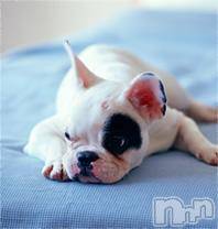 上越デリヘル 上越風俗出張アロママッサージ(ジョウエツフウゾクシュッチョウアロママッサージ) ゆずき☆(37)の5月12日写メブログ「ありがとうございました❤︎」