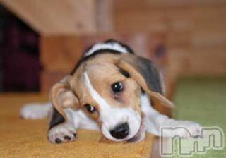 上越デリヘル 上越風俗出張アロママッサージ(ジョウエツフウゾクシュッチョウアロママッサージ) ゆずき☆(37)の5月20日写メブログ「ありがとうございました♡」