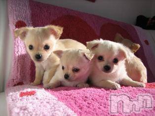 上越デリヘル 上越風俗出張アロママッサージ(ジョウエツフウゾクシュッチョウアロママッサージ) ゆずき☆(37)の5月29日写メブログ「ありがとうございました♡」