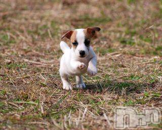 上越デリヘル 上越風俗出張アロママッサージ(ジョウエツフウゾクシュッチョウアロママッサージ) ゆずき☆(37)の5月29日写メブログ「ありがとうございました♡」