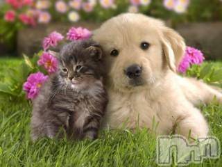 上越デリヘル 上越風俗出張アロママッサージ(ジョウエツフウゾクシュッチョウアロママッサージ) ゆずき☆(37)の6月8日写メブログ「ありがとうございました♡」