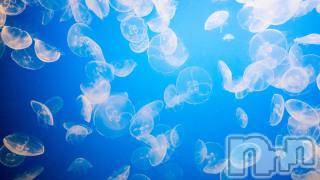 上越デリヘル 上越風俗出張アロママッサージ(ジョウエツフウゾクシュッチョウアロママッサージ) ゆずき☆(37)の6月19日写メブログ「ありがとうございました♡」