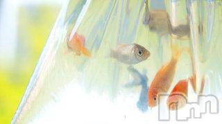 上越デリヘル 上越風俗出張アロママッサージ(ジョウエツフウゾクシュッチョウアロママッサージ) ゆずき☆(37)の6月21日写メブログ「ありがとうございました♡」