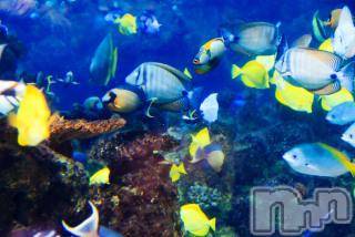 上越デリヘル 上越風俗出張アロママッサージ(ジョウエツフウゾクシュッチョウアロママッサージ) ゆずき☆(37)の7月13日写メブログ「ありがとうございました♡」