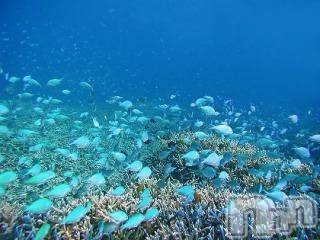 上越デリヘル 上越風俗出張アロママッサージ(ジョウエツフウゾクシュッチョウアロママッサージ) ゆずき☆(37)の7月13日写メブログ「ありがとうございました♡」