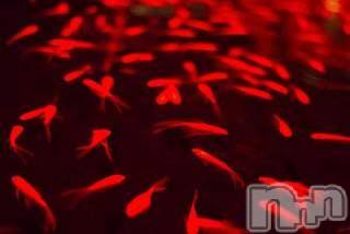 上越デリヘル 上越風俗出張アロママッサージ(ジョウエツフウゾクシュッチョウアロママッサージ) ゆずき☆(37)の8月9日写メブログ「ありがとうございました♡」