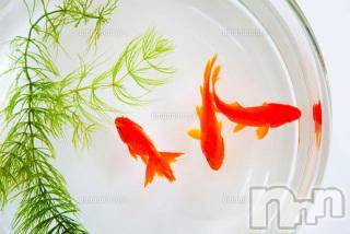 上越デリヘル 上越風俗出張アロママッサージ(ジョウエツフウゾクシュッチョウアロママッサージ) ゆずき☆(37)の8月31日写メブログ「ありがとうございました♡」