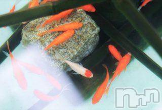 上越デリヘル 上越風俗出張アロママッサージ(ジョウエツフウゾクシュッチョウアロママッサージ) ゆずき☆(37)の8月31日写メブログ「ありがとうございました♡」