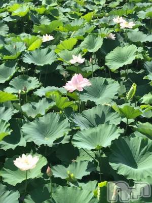 上越デリヘル 上越風俗出張アロママッサージ(ジョウエツフウゾクシュッチョウアロママッサージ) ゆずき☆(37)の10月2日写メブログ「ありがとうございました♡」