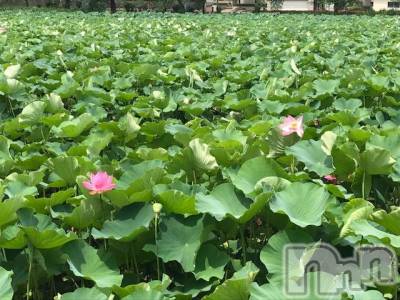 上越デリヘル 上越風俗出張アロママッサージ(ジョウエツフウゾクシュッチョウアロママッサージ) ゆずき☆(37)の10月2日写メブログ「ありがとうございました♡」