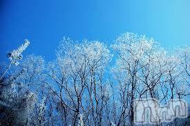 上越デリヘル 上越風俗出張アロママッサージ(ジョウエツフウゾクシュッチョウアロママッサージ) ゆずき☆(37)の12月29日写メブログ「ありがとうございました♡」