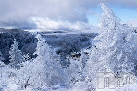 上越デリヘル 上越風俗出張アロママッサージ(ジョウエツフウゾクシュッチョウアロママッサージ) ゆずき☆(37)の12月30日写メブログ「ありがとうございました♡」