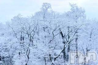 上越デリヘル 上越風俗出張アロママッサージ(ジョウエツフウゾクシュッチョウアロママッサージ) ゆずき☆(37)の1月28日写メブログ「ありがとうございます♡」