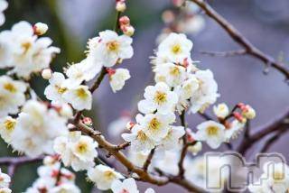 上越デリヘル 上越風俗出張アロママッサージ(ジョウエツフウゾクシュッチョウアロママッサージ) ゆずき☆(37)の2月9日写メブログ「ありがとうございました♡」