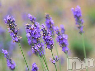 上越デリヘル 上越風俗出張アロママッサージ(ジョウエツフウゾクシュッチョウアロママッサージ) ゆずき☆(37)の2月25日写メブログ「ありがとうございました♡」