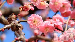 上越デリヘル 上越風俗出張アロママッサージ(ジョウエツフウゾクシュッチョウアロママッサージ) ゆずき☆(37)の4月2日写メブログ「ありがとうございました♡」