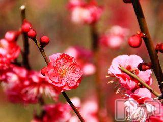 上越デリヘル 上越風俗出張アロママッサージ(ジョウエツフウゾクシュッチョウアロママッサージ) ゆずき☆(37)の4月2日写メブログ「ありがとうございました♡」