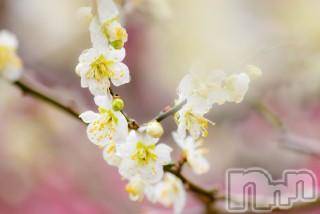 上越デリヘル 上越風俗出張アロママッサージ(ジョウエツフウゾクシュッチョウアロママッサージ) ゆずき☆(37)の4月2日写メブログ「ありがとうございました♡」