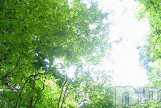 上越デリヘル 上越風俗出張アロママッサージ(ジョウエツフウゾクシュッチョウアロママッサージ) ゆずき☆(37)の5月4日写メブログ「ありがとうございました♡」