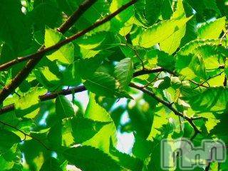 上越デリヘル 上越風俗出張アロママッサージ(ジョウエツフウゾクシュッチョウアロママッサージ) ゆずき☆(37)の6月2日写メブログ「ありがとうございました♡」