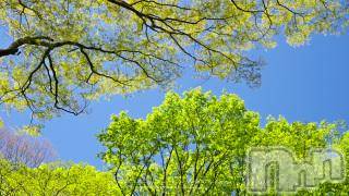 上越デリヘル 上越風俗出張アロママッサージ(ジョウエツフウゾクシュッチョウアロママッサージ) ゆずき☆(37)の6月2日写メブログ「ありがとうございました♡」