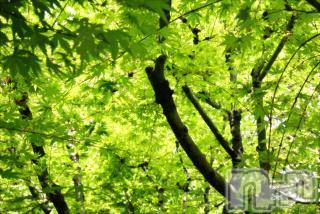 上越デリヘル 上越風俗出張アロママッサージ(ジョウエツフウゾクシュッチョウアロママッサージ) ゆずき☆(37)の6月2日写メブログ「ありがとうございました♡」