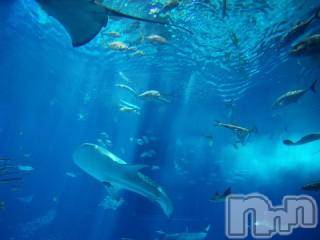 上越デリヘル 上越風俗出張アロママッサージ(ジョウエツフウゾクシュッチョウアロママッサージ) ゆずき☆(37)の7月31日写メブログ「ありがとうございました♡」