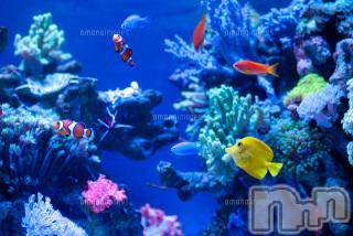 上越デリヘル 上越風俗出張アロママッサージ(ジョウエツフウゾクシュッチョウアロママッサージ) ゆずき☆(37)の8月18日写メブログ「ありがとうございました♡」