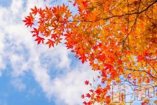 上越デリヘル 上越風俗出張アロママッサージ(ジョウエツフウゾクシュッチョウアロママッサージ) ゆずき☆(37)の10月24日写メブログ「ありがとうございました♡」