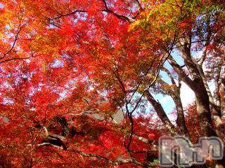 上越デリヘル 上越風俗出張アロママッサージ(ジョウエツフウゾクシュッチョウアロママッサージ) ゆずき☆(37)の10月24日写メブログ「ありがとうございました♡」