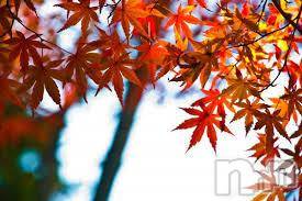 上越デリヘル 上越風俗出張アロママッサージ(ジョウエツフウゾクシュッチョウアロママッサージ) ゆずき☆(37)の10月24日写メブログ「ありがとうございました♡」