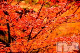 上越デリヘル 上越風俗出張アロママッサージ(ジョウエツフウゾクシュッチョウアロママッサージ) ゆずき☆(37)の10月24日写メブログ「ありがとうございました♡」