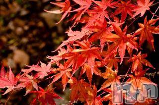 上越デリヘル 上越風俗出張アロママッサージ(ジョウエツフウゾクシュッチョウアロママッサージ) ゆずき☆(37)の10月31日写メブログ「ありがとうございました♡」