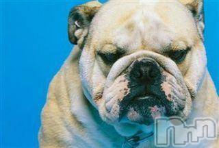 上越デリヘル 上越風俗出張アロママッサージ(ジョウエツフウゾクシュッチョウアロママッサージ) ゆずき☆(37)の11月6日写メブログ「ありがとうございました♡」